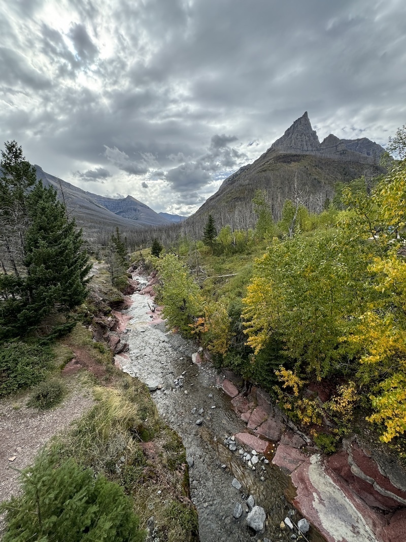 A photograph of a story sky jagged mountain peaks old fire damaged trees new growth and a stream